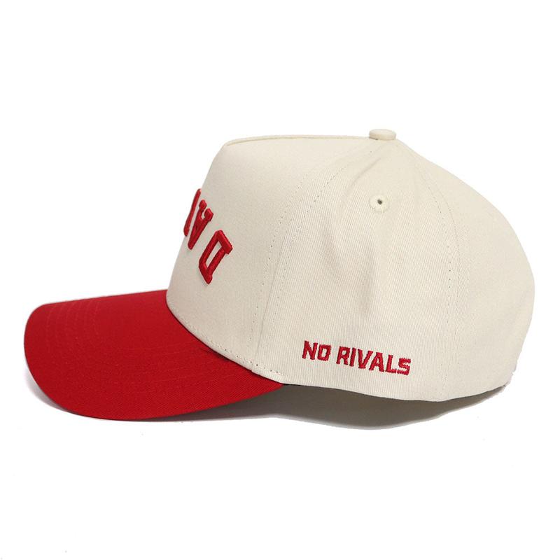 DAWGS Hat - Classic Colors