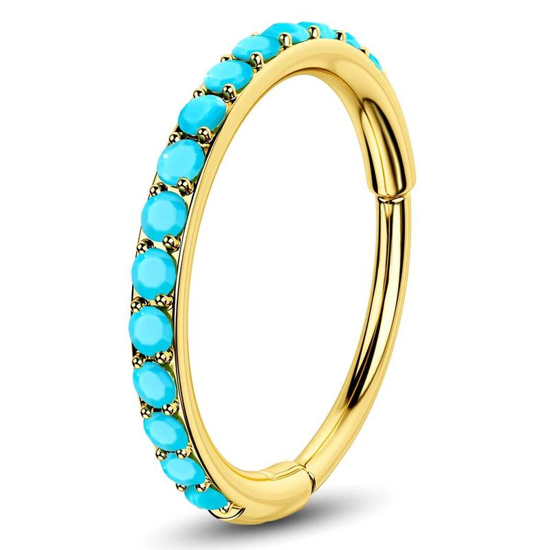 Oufer 20G Turquoise Hinged Segment Nose Ring